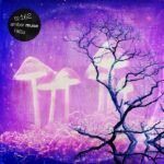 Amber Muse Radio Show #162