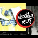 Discoteka Assorti